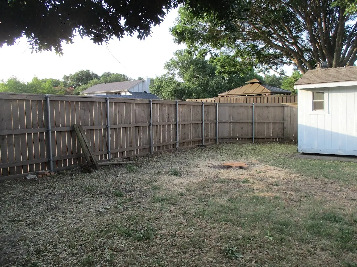 Cleared yard after professional tree removal in Thompson Falls